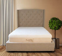 Dreambed