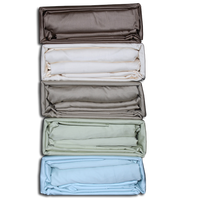 Load image into Gallery viewer, Egyptian Cotton Sheet Set 600TC Light Mint
