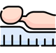 Sleep Science